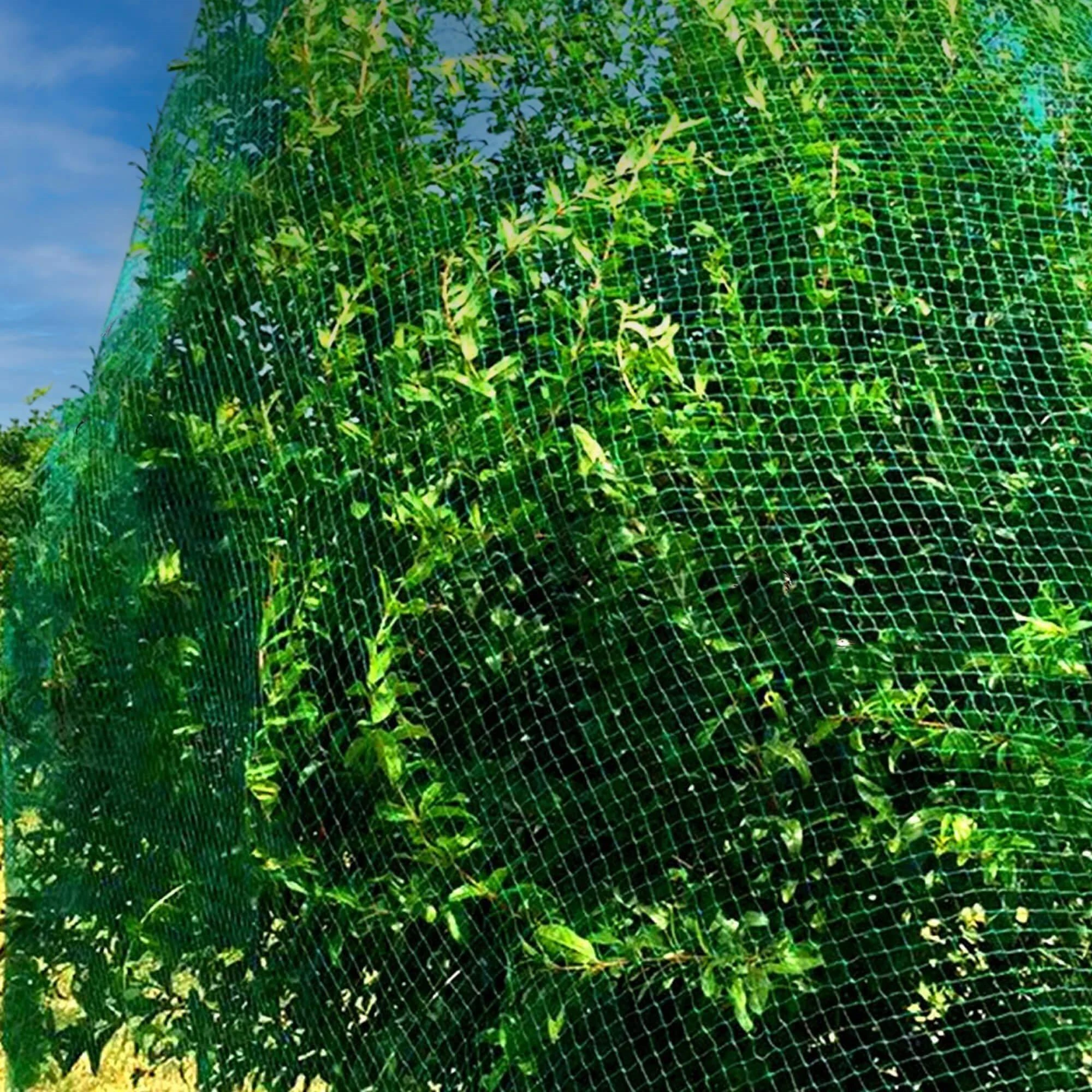 Springos Tinklelis nuo paukščių 4x5 m