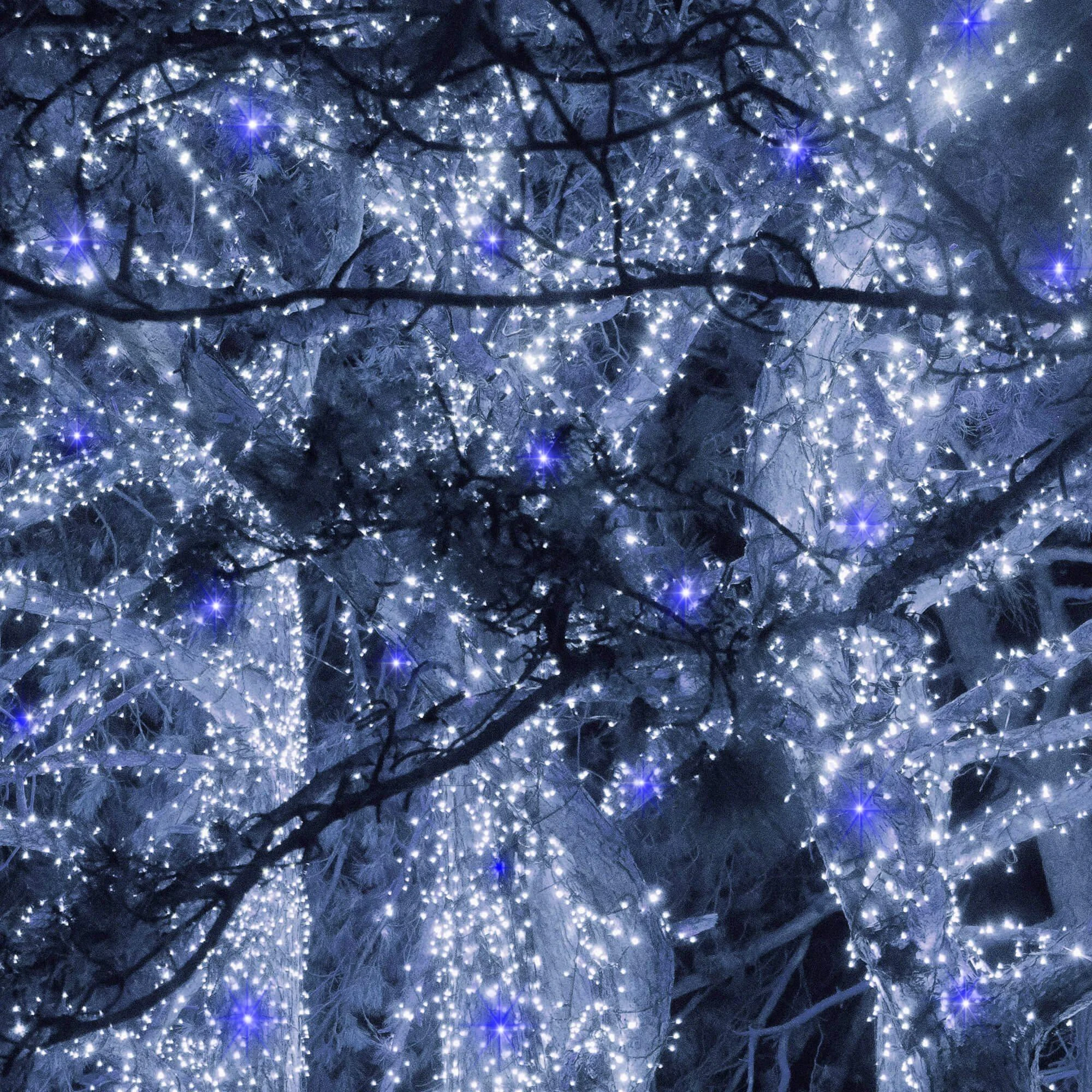 Kalėdinės lemputės Springos 300 LED 19,5 m