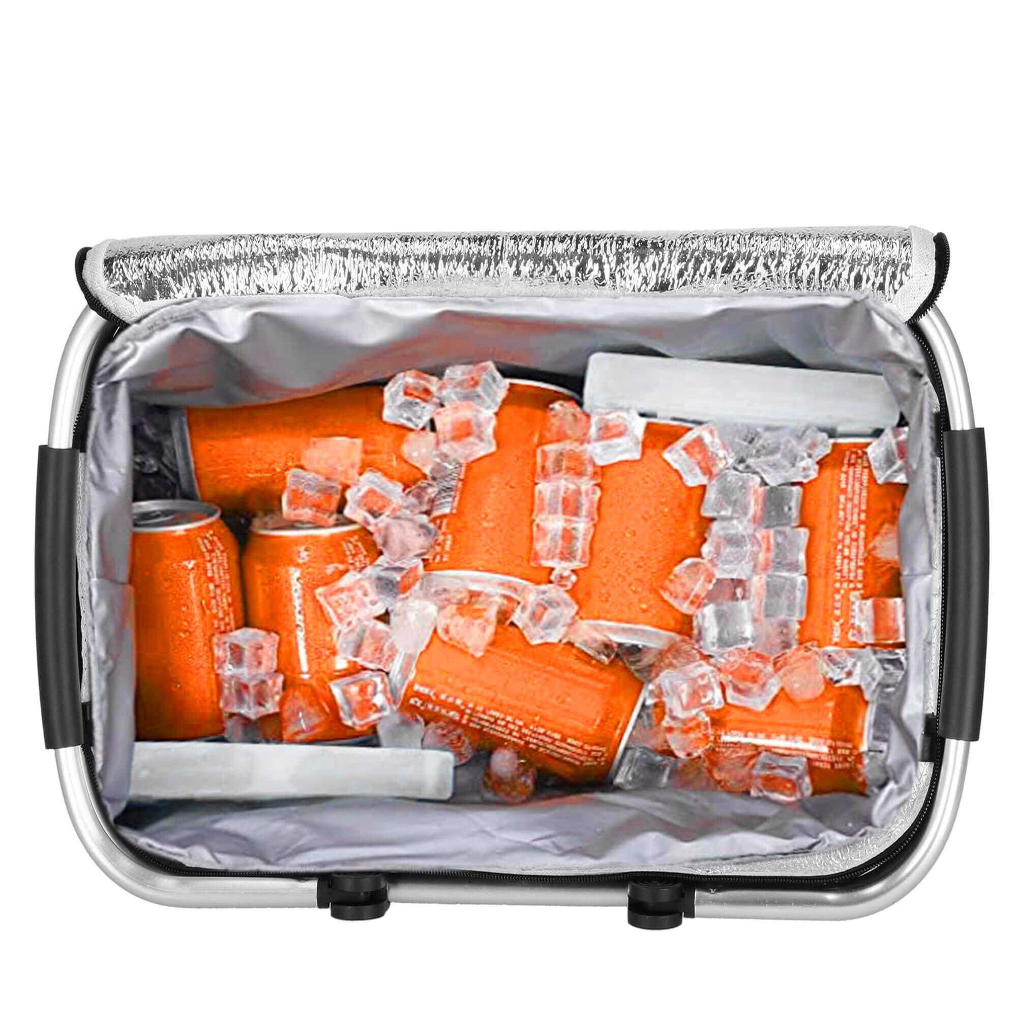 Springos Šaltkrepšis PICNIC THERMO BAG 47x28x40cm
