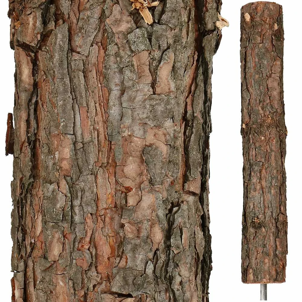 Kalėdų eglutė ant kamieno Springos 160 cm