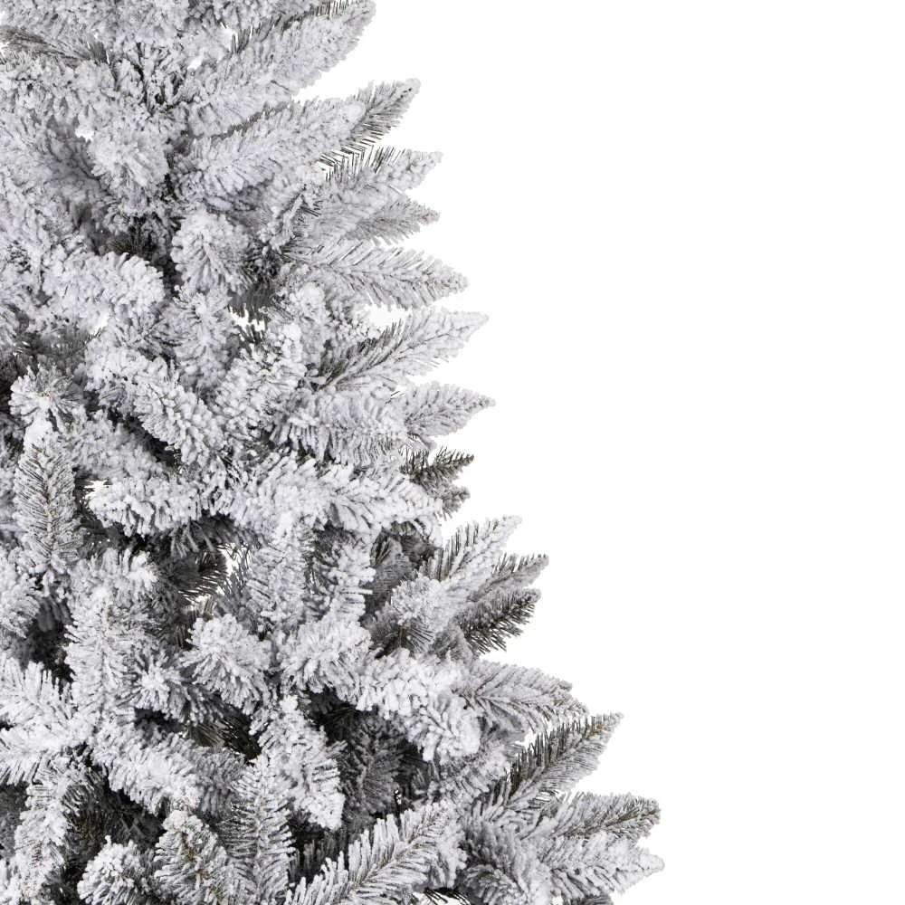 Kaukazo eglė Springos CT0125, 220 cm