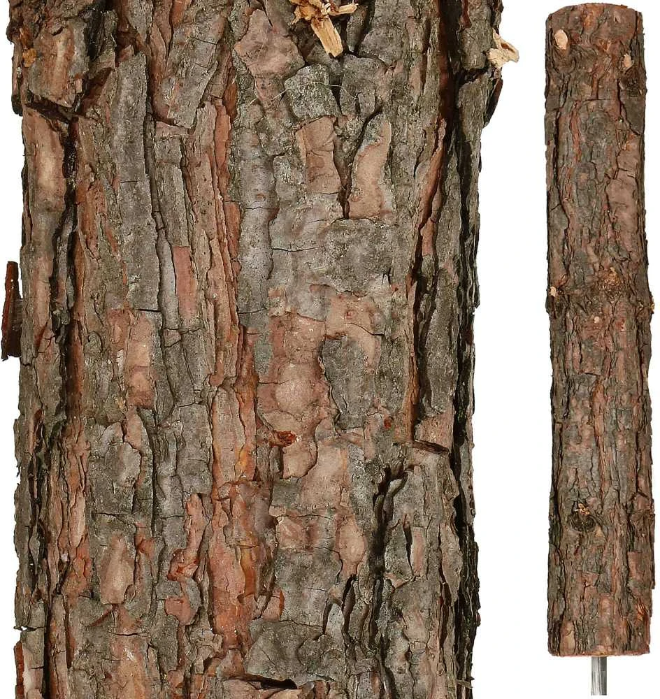 Kalėdų eglutė Springos Snieguota 160 cm