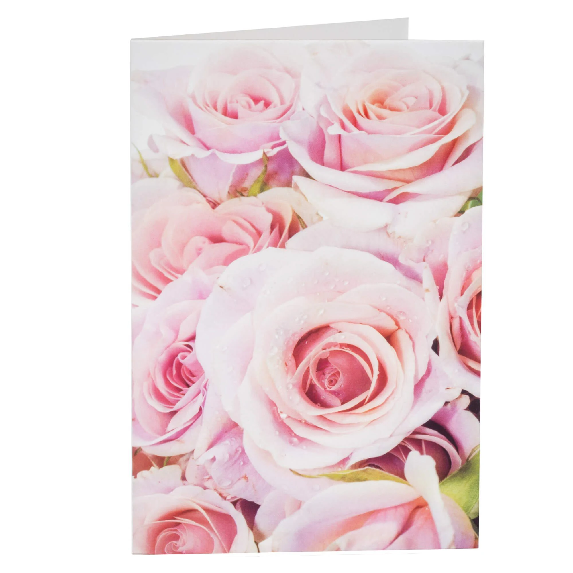 Rožė stikle Springos 22 cm