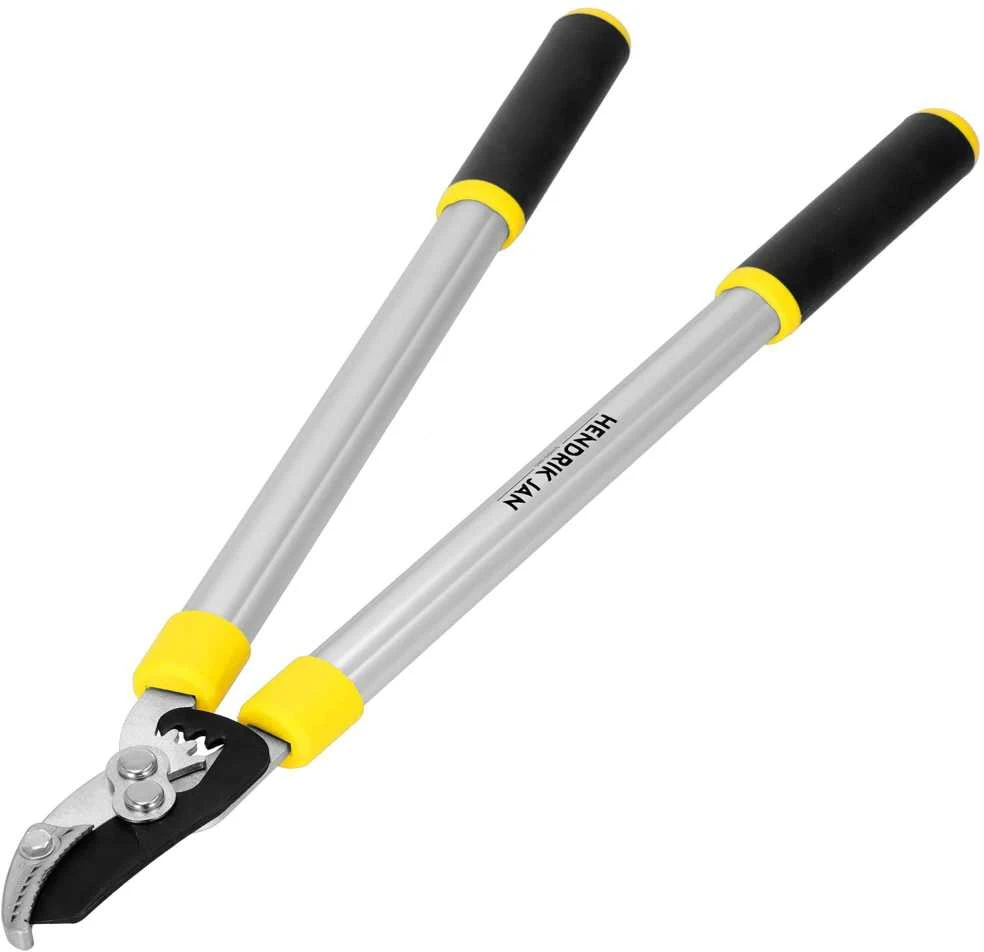 Sodo žirklės šakoms Springos SE0001 62 cm
