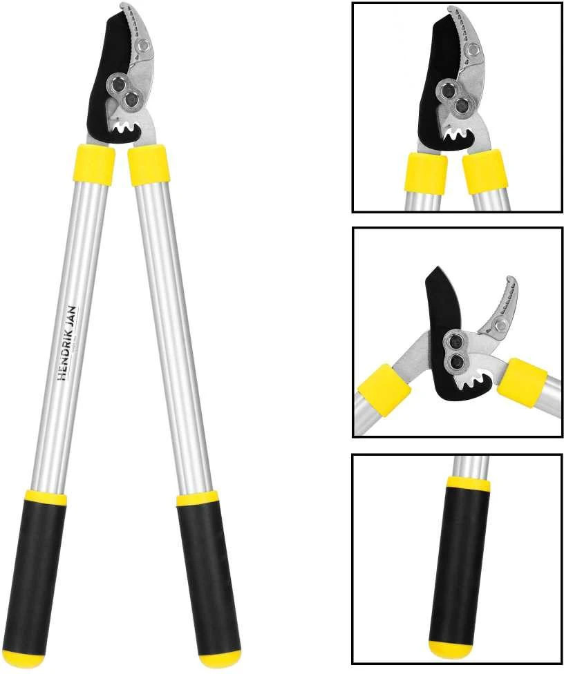 Sodo žirklės šakoms Springos SE0001 62 cm