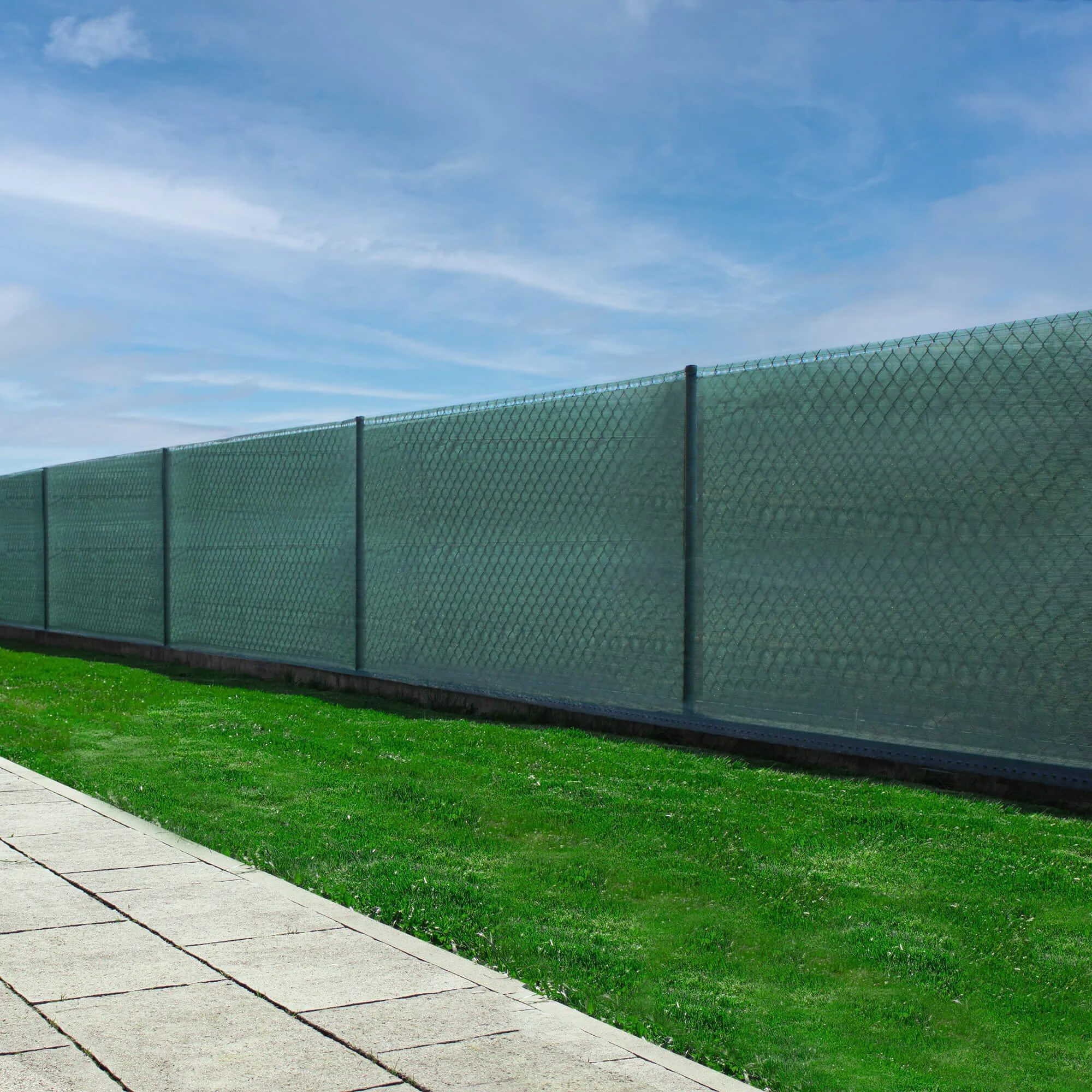 Springos Tinklas 1x50 m žalias