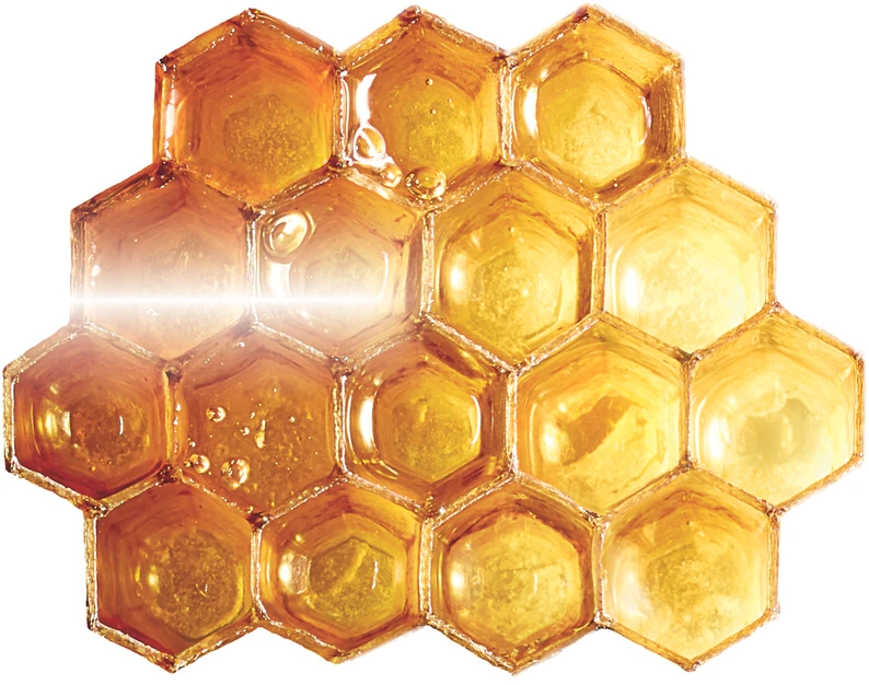 NUXE Reve de Miel Honey Lūpų balzamas moterims, 15 g