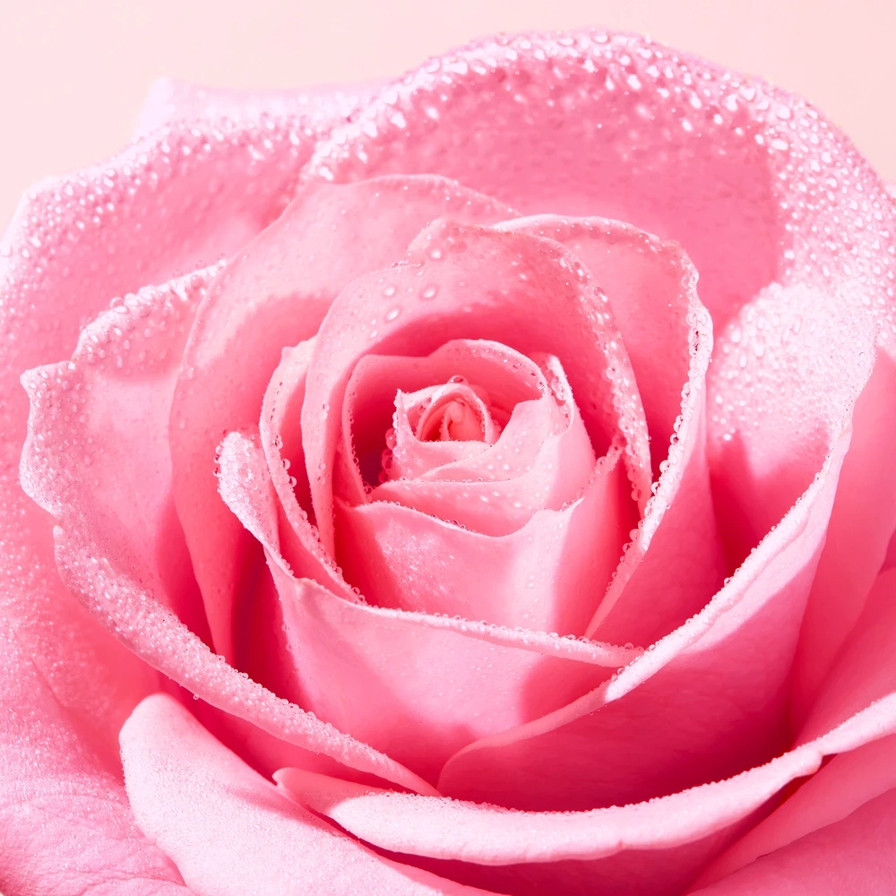 „Nuxe Very Rose Light“ valomosios putos, 150 ml