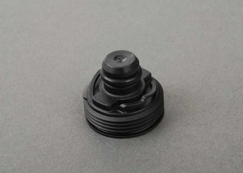 5L 5 litrų ORIGINALUS BMW variklio alyva 5W30 LongLife-04 + alyvos filtras 11428570590
