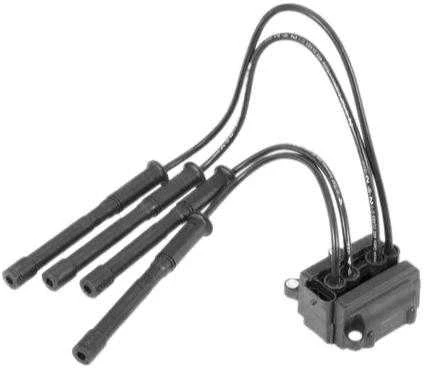 Beru Uždegimo ritė RENAULT Clio II PROTON 12131359637 35254 224336134R