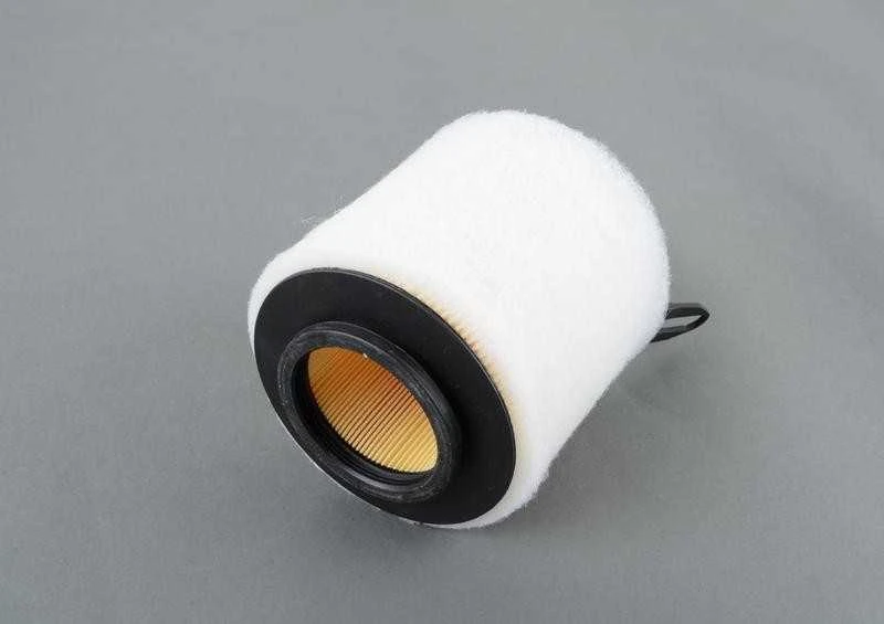 BMW originalus oro filtras 13717524412