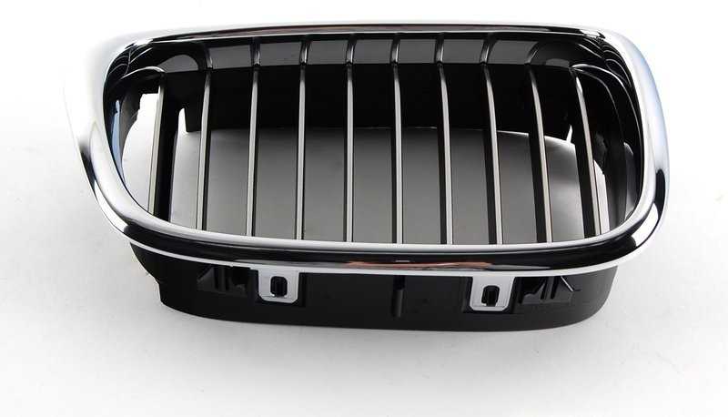 Bmw 5 E39 1995 2003 Dešinysis Ziergitter Originalus 51138184532