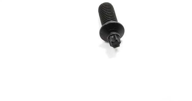 BMW apsauginis varžtas Torx M8 x 1,25 mm 1157967 32311157967