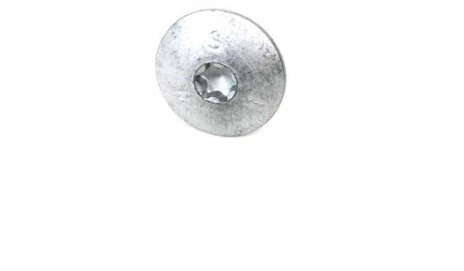BMW E36 E39 E38 E31 Torx bolt Originalus 41009163211