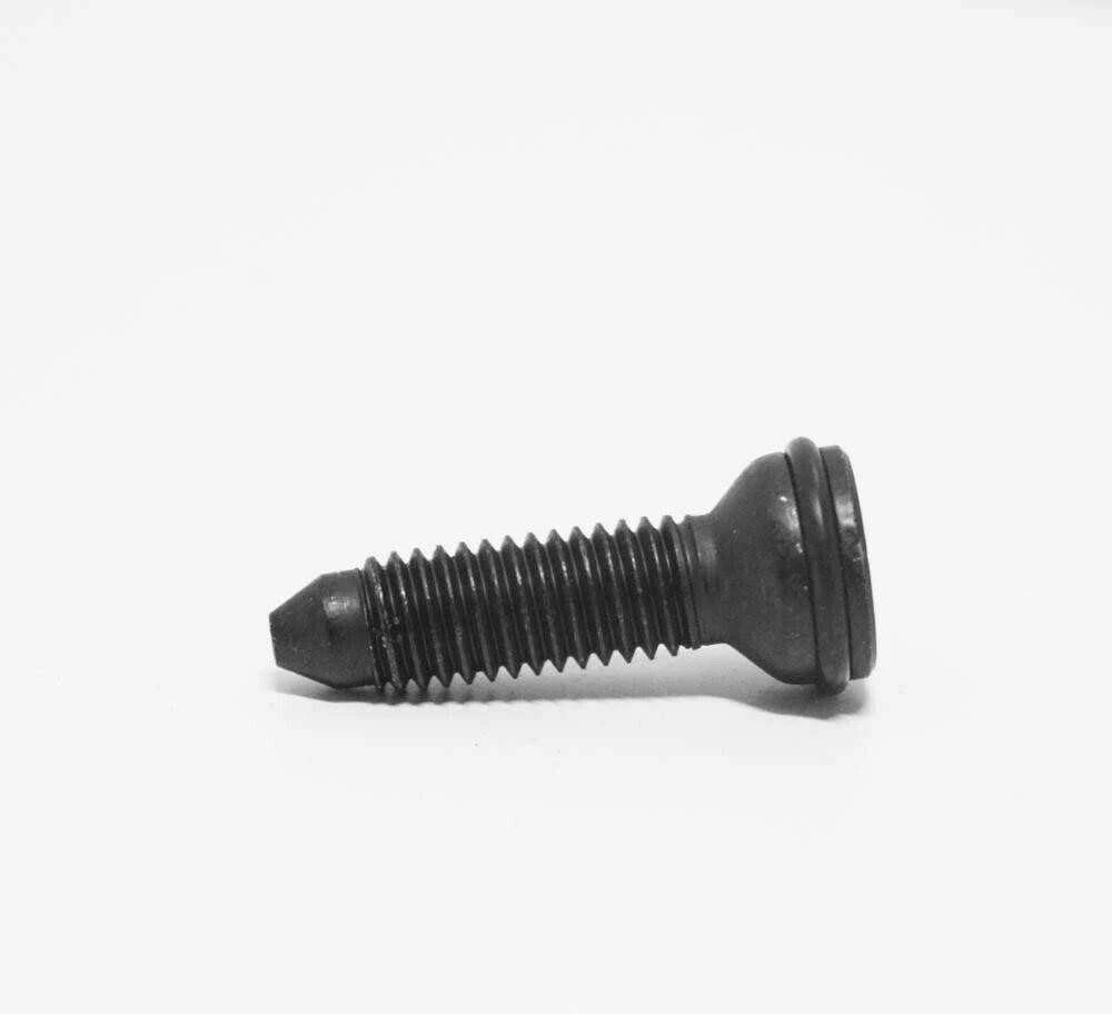 BMW E36 Torx varžtas originalus 54218410534