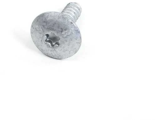 BMW E46 Torx varžtas Originalus 41358203482