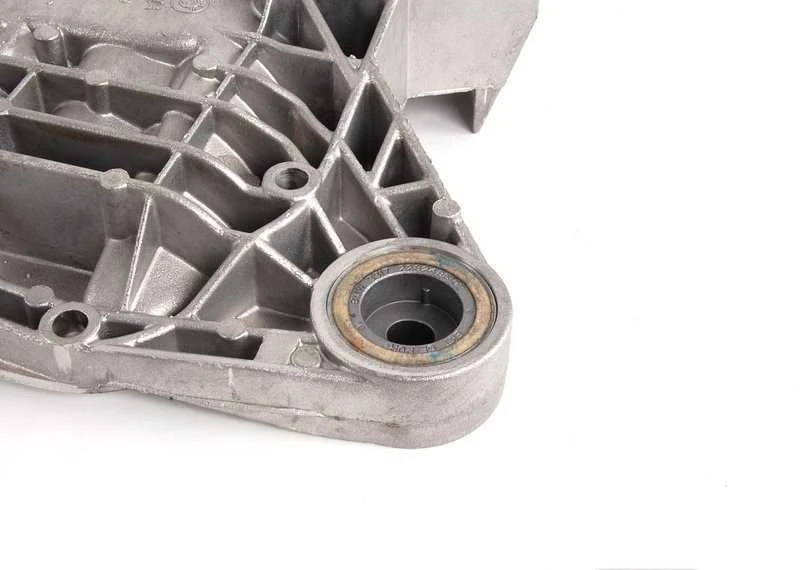 BMW E46 Variklio Dangos Originalus 33112282482