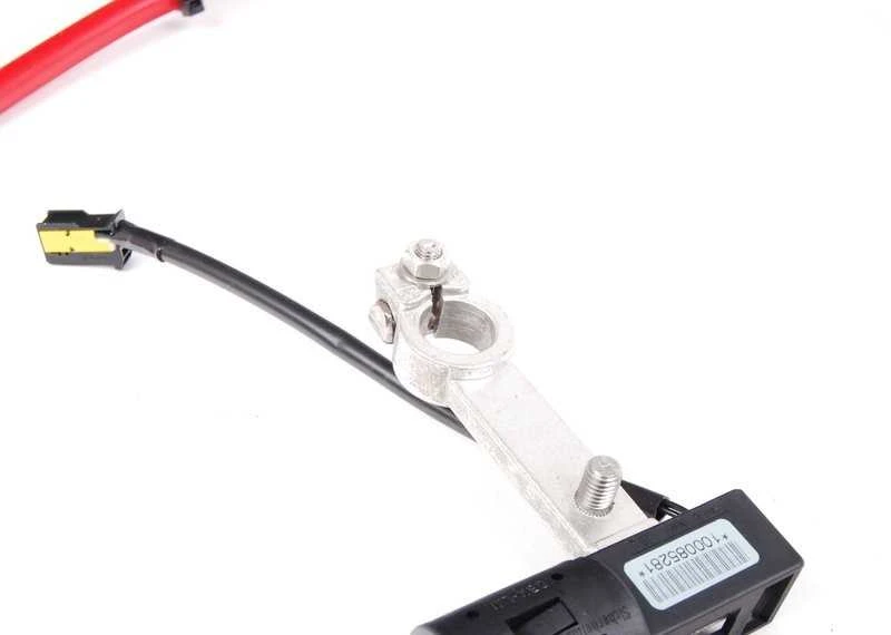 BMW E61 akumuliatoriaus laidas Originalus 61127835218