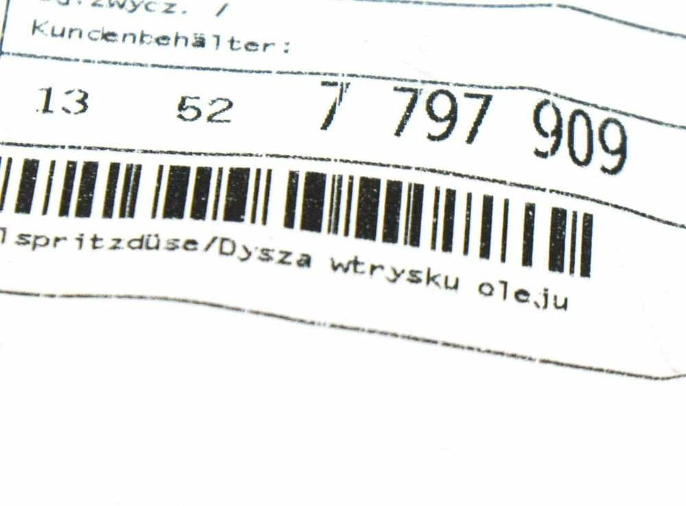 BMW E81 E87 alyvos purškimo antgalis originalus 13527797909