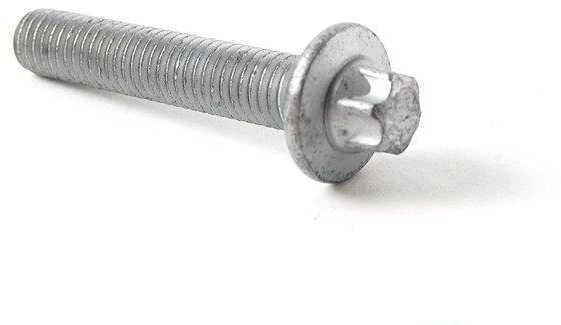 BMW E81 tepalo filtro korpuso varžtas Originalus 11427540763