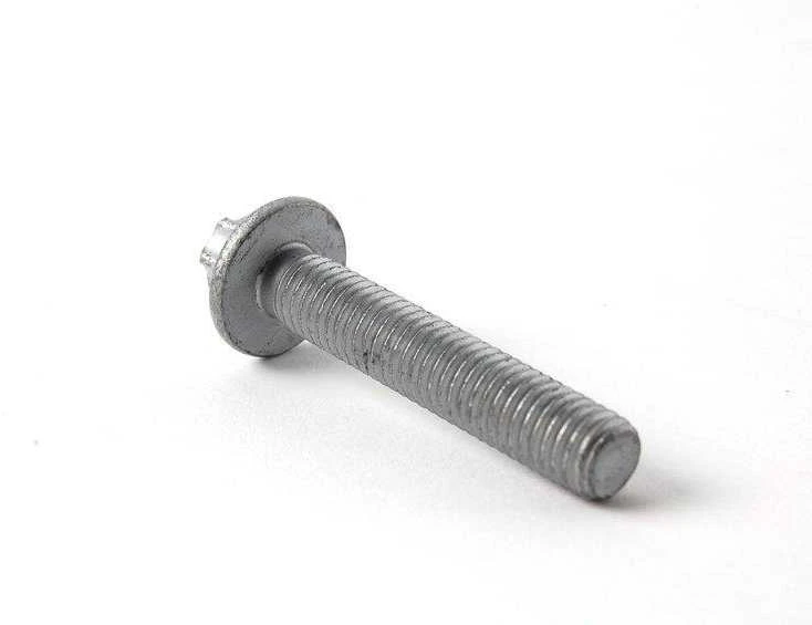 BMW E81 tepalo filtro korpuso varžtas Originalus 11427540763