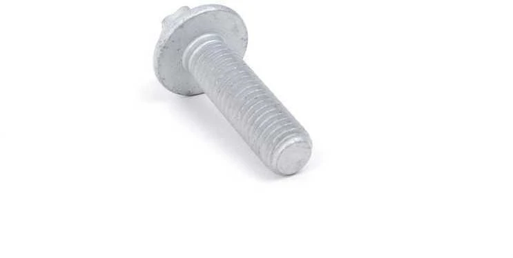 BMW E82 Alyvos filtro korpuso varžtas galinis originalus 11427540759