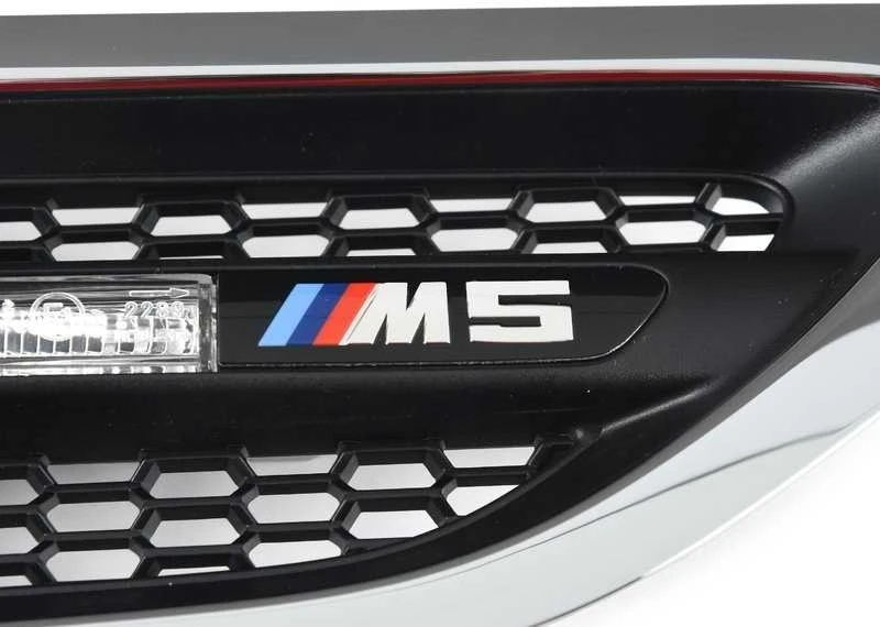 BMW F10 Dešinės Pusės Priekinis Grotelis Originalus 51134805798