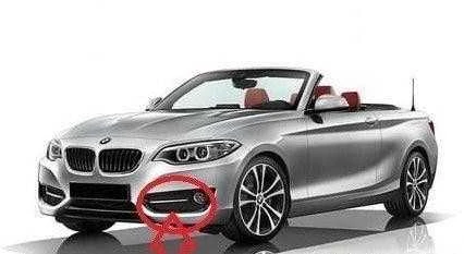 BMW F22 F23 Kairys Uždarytas Grotas Originalus 51117343731