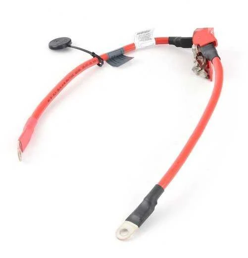 BMW F30 teigiamas akumuliatoriaus laidas Originalus 61129270244