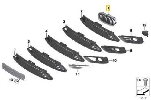 Bmw F45 F46 Priekinis Dešinysis Ziergitter Originalus 51137379612