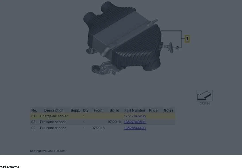Bmw F87 M2 F80 M3 F82 M4 Įkrovos Oro Aušintuvas Originalus 17517846235