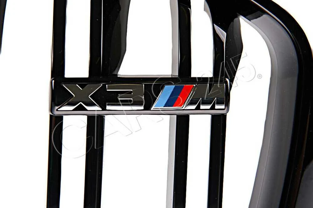 BMW F97 priekinės kairės pusės grotelės originalios 51118098087