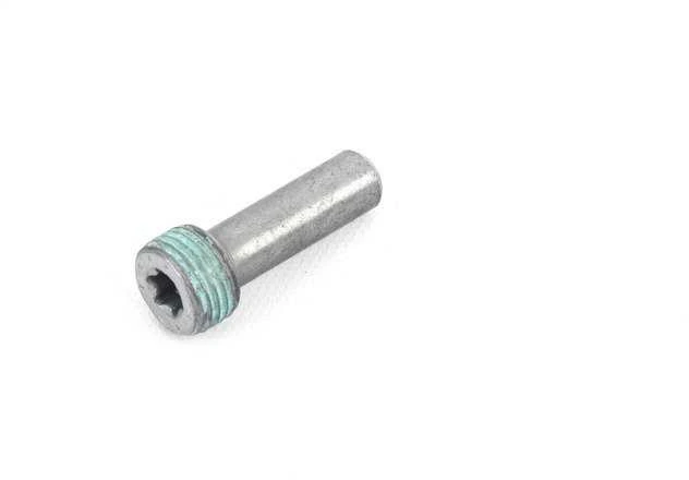 BMW Galvos Cilindro Guolio Lageris Originalus 11317797900