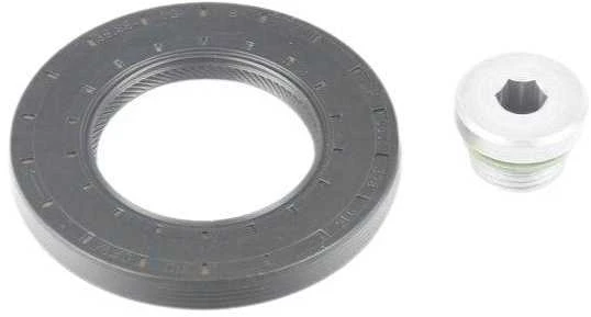 BMW Garnitūrų ir sandarinimo rinkinys hibridinis variklis 3 F30 LCI 330e Sedan Europa Originalus 24158632196