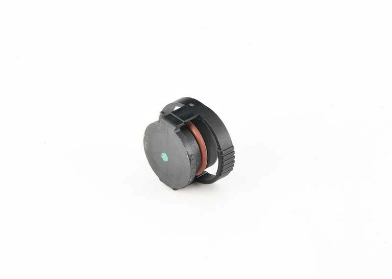 BMW Mini F20 F21 F30 oro įsiurbimo angos kištukas originalus 11617596034