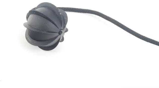 BMW MINI R52 galinio lango lentynos laidas Originalus 51466961448