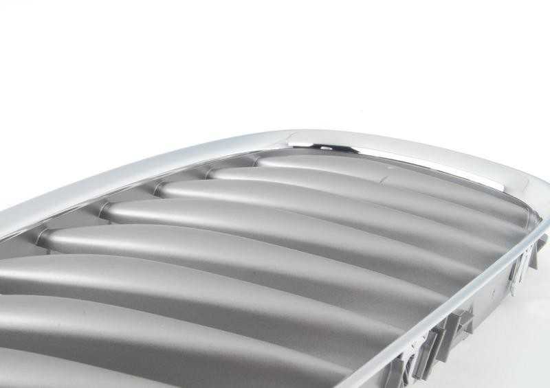 BMW Originalus Priekinis Dešinysis Inksto Grotelės Chromas E85/E86 Z4 51117117758
