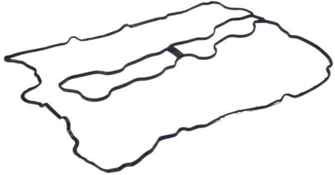 Bmw Profilio Gasketas 5 F07 F10 F11 11127566289 Originalus 11127566289