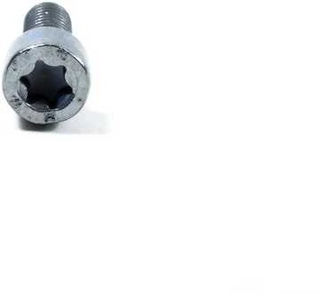 BMW Filištinis varžtas - Torx (6 X 16 mm)