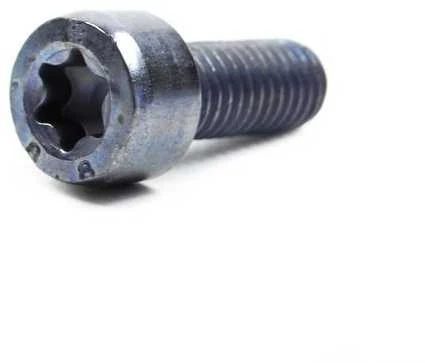 BMW Filištinis varžtas - Torx (6 X 16 mm)