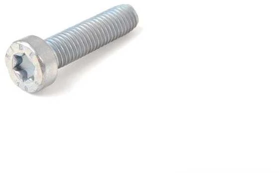 BMW Torx Varžtas E39 E61 Z8 K25 Originalus 51247217793