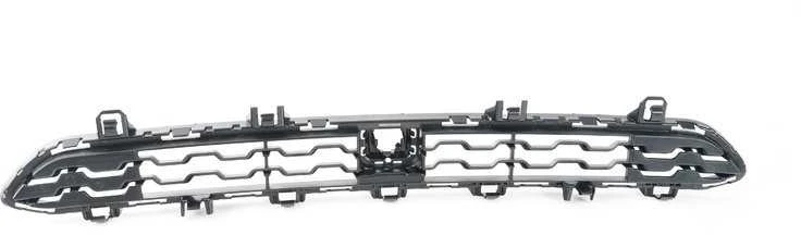 Bmw X3 F25 X4 F26 Icam Grotelės Priekyje Originalus 51118059953