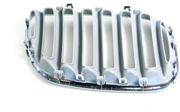 Bmw X5 E53 Priekinis Ziergitter Kairysis Originalus 51138250051