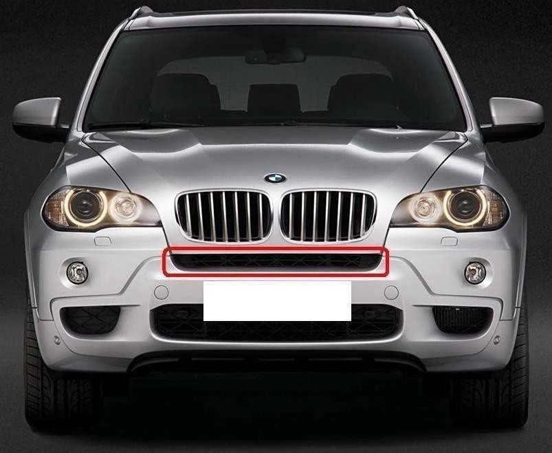 Bmw X5 E70 Grid Center Originalus 51118038265