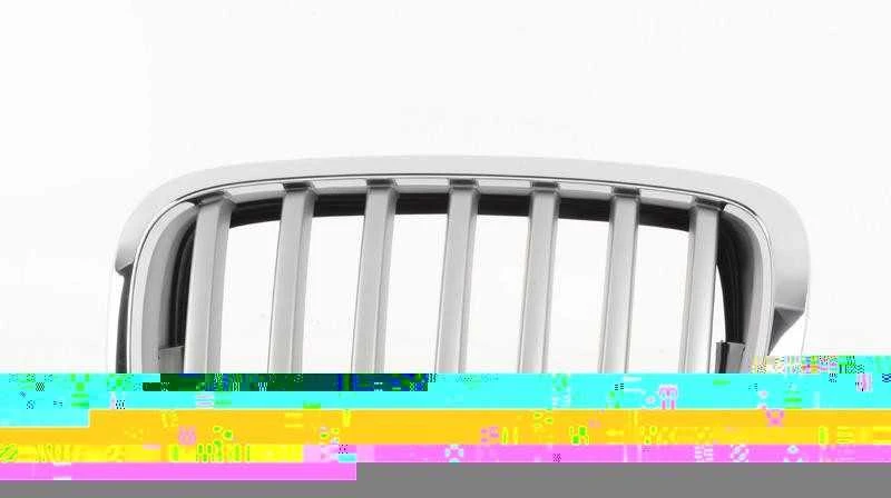 BMW X6 E71 Priekinis Kairys Grillis Originalus 51137307599