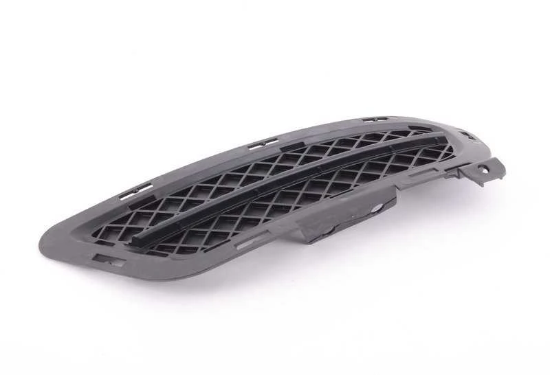 BMW Z4 09-16 SERIJA E89 NAUJA ORIGINALI PRIEKINĖ BUFERIO APATINĖ DEŠINĖ GROTELĖ 7203800