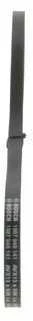 Bosch V Formos Diržas Audi 100 C3 Nissan Laurel Almera X Trail Primera 7700109151 7700109152