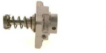 BOSCH cilindrų galvutė F01M101781