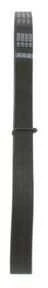 Bosch Diržas su V formos briaunomis Citroen Relay Fiat Ducato Ford Escort Peugeot Boxer 7701475080 7701475081