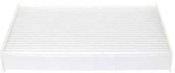 BOSCH filtras, salono oro 1987435010 272775081R